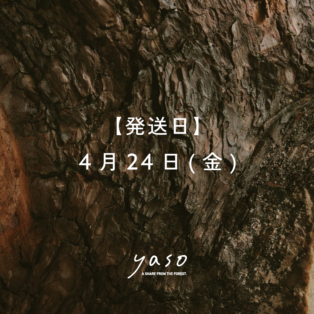 【期間限定】森のひとときを贈る ギフトセット(【発送日】4/24(金))