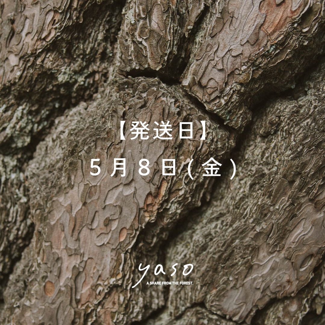 【期間限定】森のひとときを贈る ギフトセット(【発送日】5/8(金))