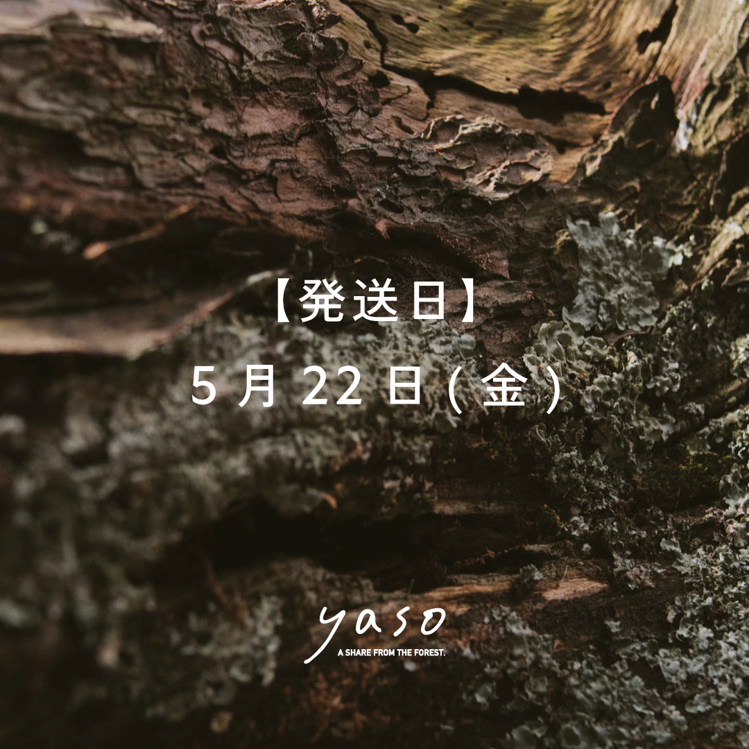 【期間限定】森のひとときを贈る ギフトセット(【発送日】5/22(金))